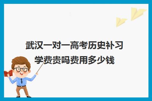 武汉一对一高考历史补习学费贵吗费用多少钱