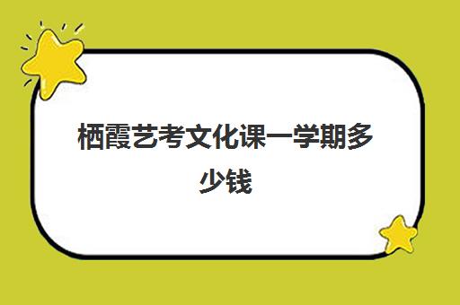 栖霞艺考文化课一学期多少钱(高中播音艺考费是多少)