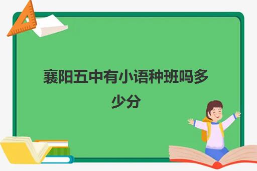 襄阳五中有小语种班吗多少分(襄阳四中一个年级多少个班)