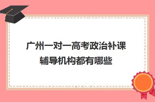 广州一对一高考政治补课辅导机构都有哪些(一对一补课多少钱)