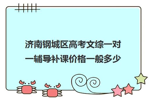 济南钢城区高考文综一对一辅导补课价格一般多少钱(济南最好的高考辅导班)