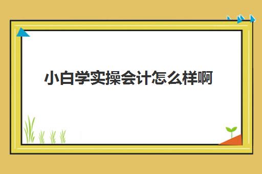 小白学实操会计怎么样啊(小白学会计难吗)