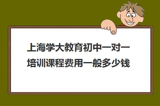 上海学大教育初中一对一培训课程费用一般多少钱（学大教育学费多少）