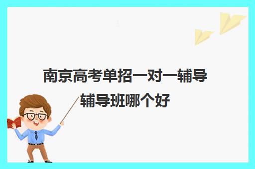 南京高考单招一对一辅导辅导班哪个好(南京一对一教育机构哪家好)