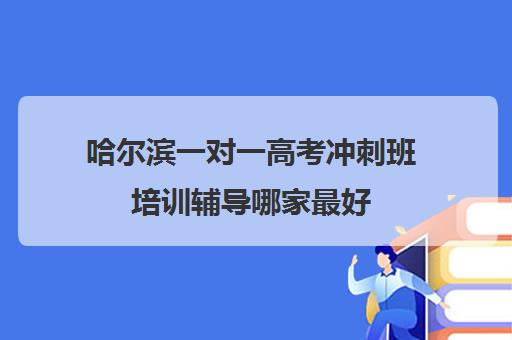 哈尔滨一对一高考冲刺班培训辅导哪家最好(高考培训班哪家好)