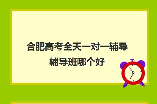 合肥高考全天一对一辅导辅导班哪个好(合肥比较出名辅导班)