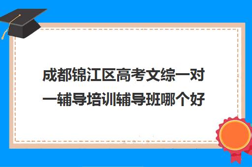 成都锦江区高考文综一对一辅导培训辅导班哪个好(成都高三全日制冲刺班哪里好)