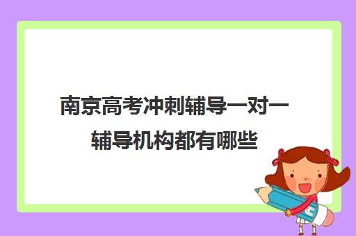 南京高考冲刺辅导一对一辅导机构都有哪些(高考线上辅导机构有哪些比较好)