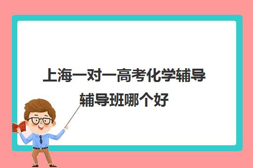 上海一对一高考化学辅导辅导班哪个好(家教一对一辅导机构)