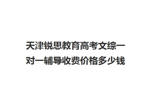 天津锐思教育高考文综一对一辅导收费价格多少钱（天津高三培训机构排名前十）