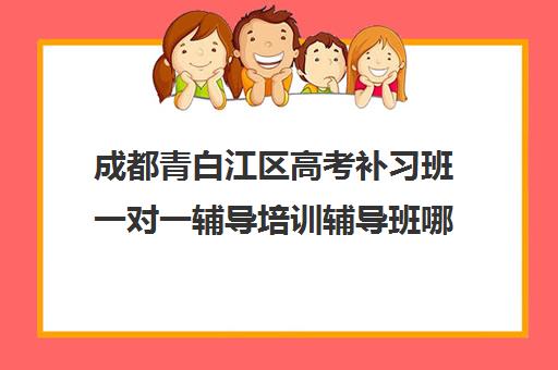 成都青白江区高考补习班一对一辅导培训辅导班哪个好