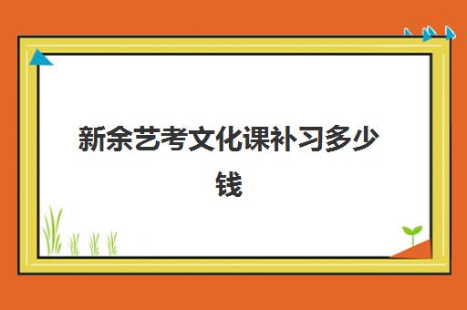 新余艺考文化课补习多少钱