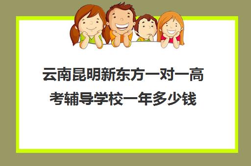 云南昆明新东方一对一高考辅导学校一年多少钱(高三数学一对一辅导班)