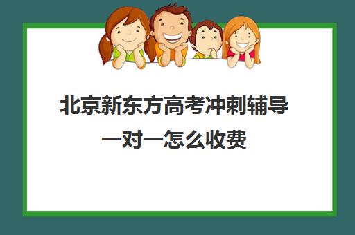 北京新东方高考冲刺辅导一对一怎么收费（新东方高三一对一收费价格表）