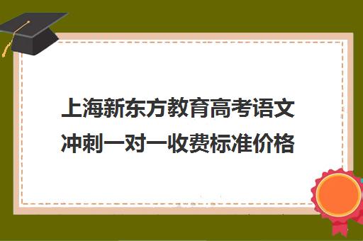 上海新东方教育高考语文冲刺一对一收费标准价格一览(新东方高三一对一收费价格表)