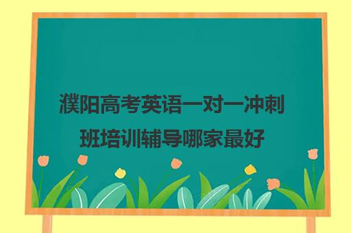 濮阳高考英语一对一冲刺班培训辅导哪家最好(新东方高考培训怎么样)