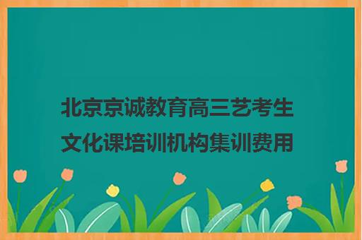 北京京诚教育高三艺考生文化课培训机构集训费用多少钱(北京十大艺考培训机构)