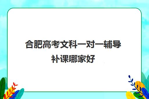 合肥高考文科一对一辅导补课哪家好(高中语文一对一补课有用吗)