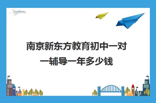 南京新东方教育初中一对一辅导一年多少钱(新东方学校一年学费多少)