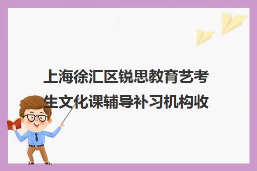 上海徐汇区锐思教育艺考生文化课辅导补习机构收费标准价格一览