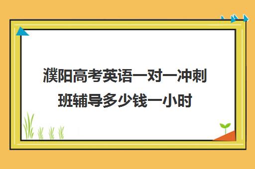 濮阳高考英语一对一冲刺班辅导多少钱一小时(高中去新东方补课好吗)