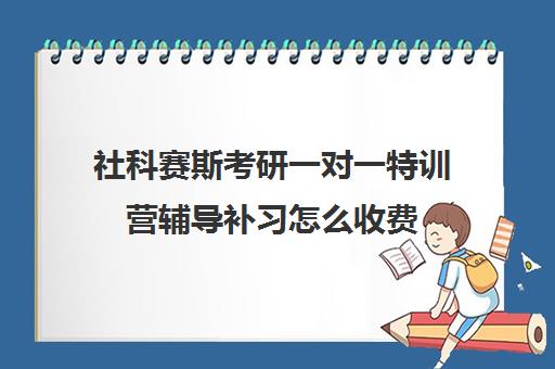 社科赛斯考研一对一特训营辅导补习怎么收费