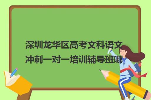 深圳龙华区高考文科语文冲刺一对一培训辅导班哪个好(高考培训机构排名)