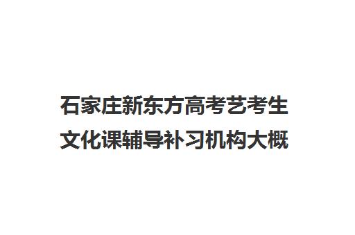 石家庄新东方高考艺考生文化课辅导补习机构大概多少钱