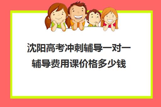 沈阳高考冲刺辅导一对一辅导费用课价格多少钱(沈阳高中一对一补课价格)