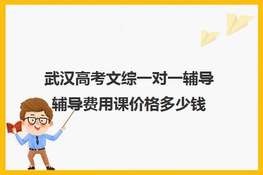 武汉高考文综一对一辅导辅导费用课价格多少钱(武汉高三培训机构排名前十)