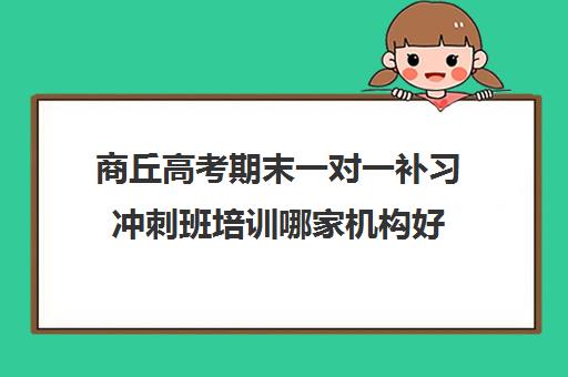 商丘高考期末一对一补习冲刺班培训哪家机构好