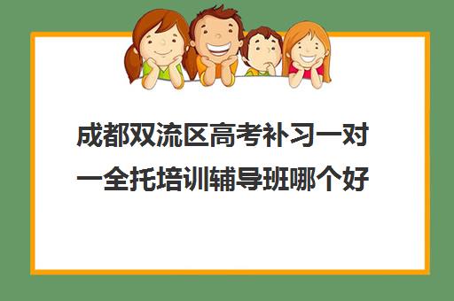 成都双流区高考补习一对一全托培训辅导班哪个好