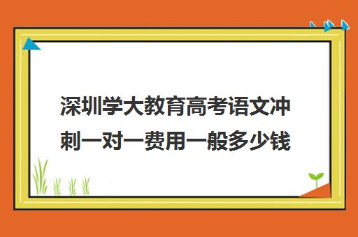 深圳学大教育高考语文冲刺一对一费用一般多少钱(新东方一对一收费价格表)