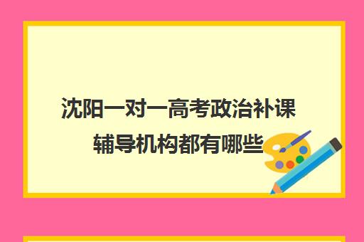 沈阳一对一高考政治补课辅导机构都有哪些(沈阳高中一对一补课价格)