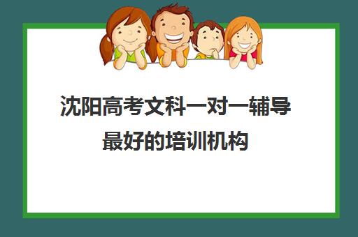 沈阳高考文科一对一辅导最好的培训机构(沈阳全日制高考培训学校排名)