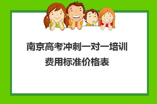 南京高考冲刺一对一培训费用标准价格表(一对一教育机构排名)