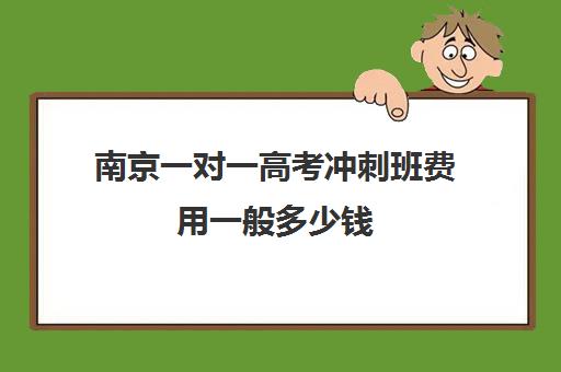 南京一对一高考冲刺班费用一般多少钱(新东方高三一对一收费价格表)