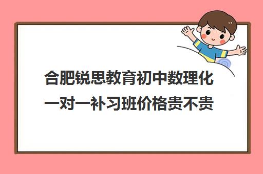 合肥锐思教育初中数理化一对一补习班价格贵不贵？多少钱一年