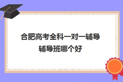 合肥高考全科一对一辅导辅导班哪个好(合肥一对一辅导机构排行)