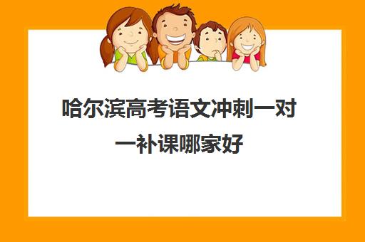 哈尔滨高考语文冲刺一对一补课哪家好(哈尔滨小学补课一对一价格)