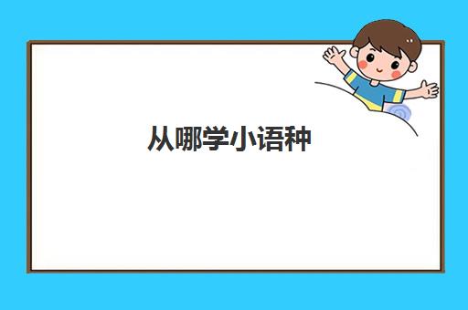 从哪学小语种(小语种可以自学吗)