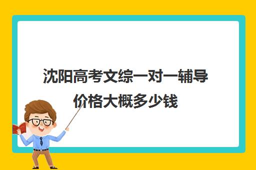 沈阳高考文综一对一辅导价格大概多少钱(沈阳高中一对一补课价格)