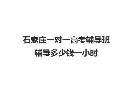 石家庄一对一高考辅导班辅导多少钱一小时(石家庄一对一辅导机构哪个好)