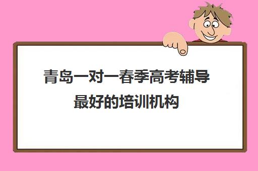 青岛一对一春季高考辅导最好的培训机构(山东春季高考培训机构哪里好)