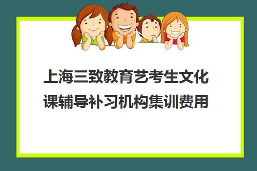 上海三致教育艺考生文化课辅导补习机构集训费用多少钱