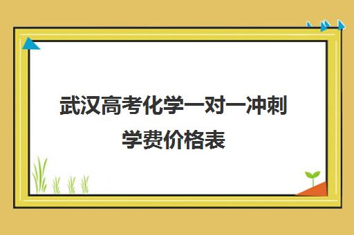 武汉高考化学一对一冲刺学费价格表(新东方一对一收费价格表)