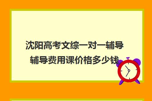 沈阳高考文综一对一辅导辅导费用课价格多少钱(沈阳高三文化课培训班排名前十名)