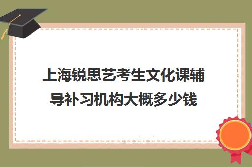 上海锐思艺考生文化课辅导补习机构大概多少钱