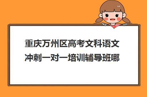 重庆万州区高考文科语文冲刺一对一培训辅导班哪个好(万州最好的补课机构)