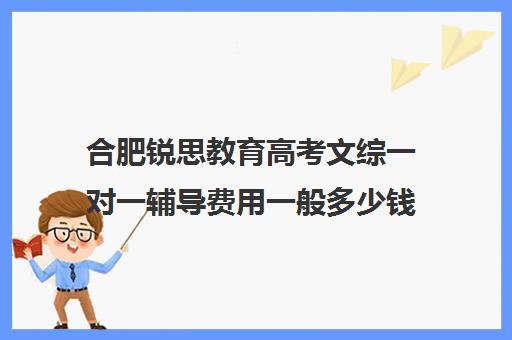 合肥锐思教育高考文综一对一辅导费用一般多少钱（高三网上补课一对一平台哪个好）